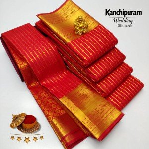 BRIDEL WEAR- Red & Gold with Elegant Rich Silver Zari Border